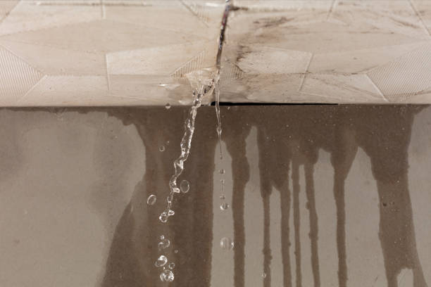 Professional Flood Damage Cleanup technician working in Loving, TX